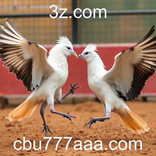 cbu777aa.com